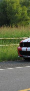 FORD Shelby GT 500 Cabrio Technical сharacteristics
