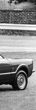 FORD Taunus Turnier (GBNK)  Технічні характеристики
